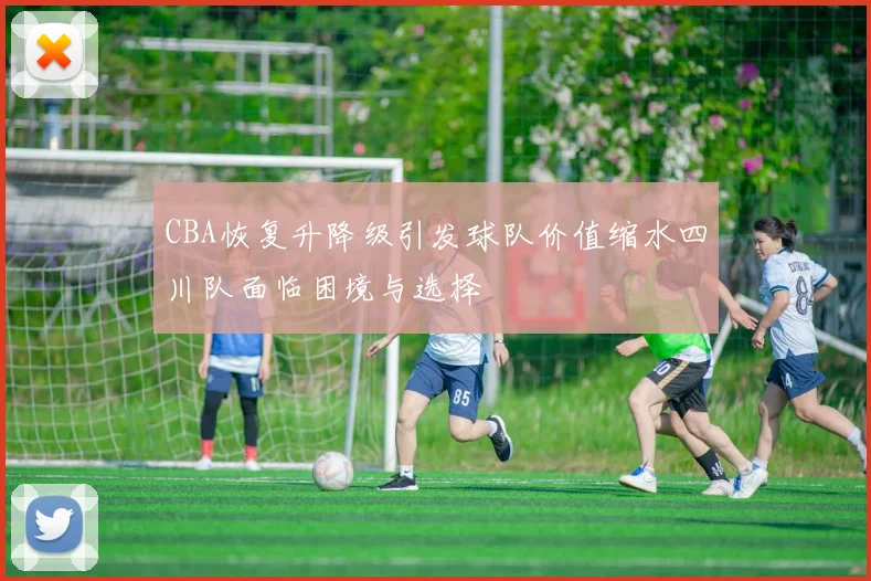 CBA恢复升降级引发球队价值缩水四川队面临困境与选择